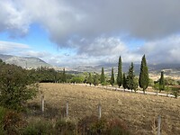 IMG_7619