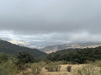 IMG_7613