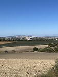 IMG_7686