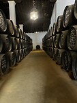 IMG_7799