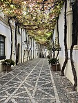 IMG_7797