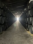 IMG_7789