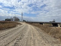 IMG_7819