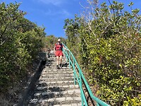 IMG_8217