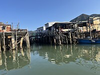 IMG_8305