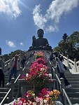 IMG_8268