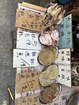 IMG_8312
