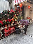 IMG_8309