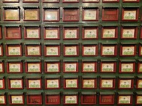 20260216_104859