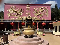 IMG_8332