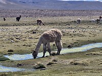 20260505_103043
