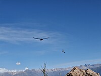 20260506_091235