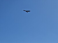 20260506_091834