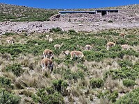 20260507_093115