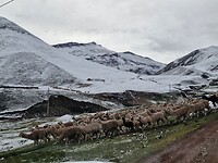 20260511_084058