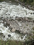 IMG_8761