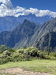 IMG_8788