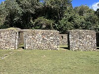 IMG_8785