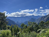 IMG_8784