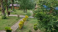 Uitzicht vanaf ons huisje in Khao Sok