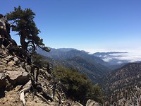 Uitzicht na Wrightwood