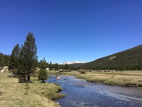 CA4E2B17-4230-4FE8-AC8C-1F0D256EA332