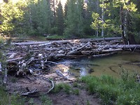 Wooden dam