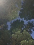 The view from my camp spot