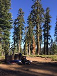 Camp Spot