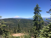 Mount Shasta
