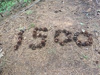 1500