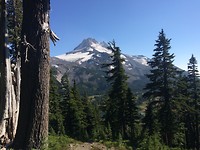 Mt. Hood
