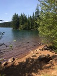 Timothy Lake