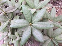 28937FF4-6A63-4DAC-914F-A4ED713F1FD2