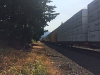 42E30206-A96E-4CDF-ACA4-D2798244EBD6