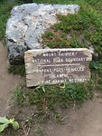 8C2E7F5B-8E3D-46AD-8312-AEB06D6A0983