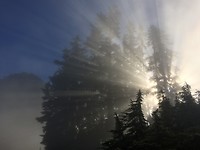 88DC1250-8F42-4B0A-9A62-06DD729E5295