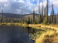 A9456293-DDDD-45B6-980F-DBC360C8A035