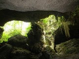 1 Bukit Lawang (65)