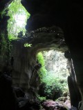 1 Bukit Lawang (58)