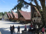 4 Toba Meer Samosir Island (6)
