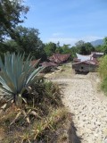 4 Toba Meer Samosir Island (21)