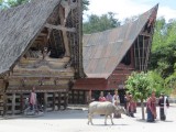 4 Toba Meer Samosir Island (31)