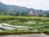 7 Maninjau Meer (5)