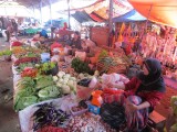 7 Maninjau Meer (29)