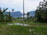 7Maninjau Meer (74)