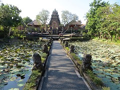 25 Ubud (3)