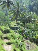 28Ubud (15)