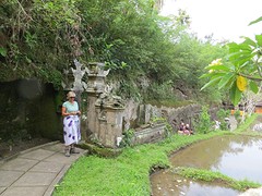 36 Ubud Yeh Pulu (39)