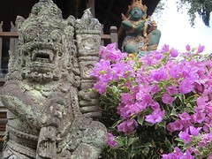 41 Ubud (54)